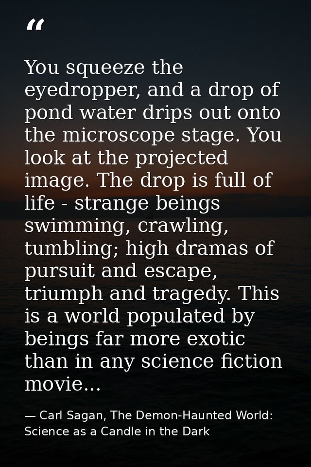 You squeeze the eyedropper, and a drop of pond water drips out onto the microscope stage. You look at the projected imag — Carl Sagan, The Demon-Haunted World: Science as a Candle in the Dark