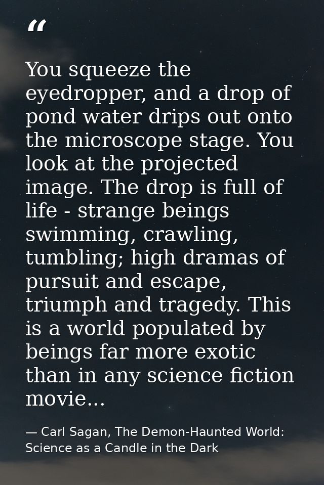 You squeeze the eyedropper, and a drop of pond water drips out onto the microscope stage. You look at the projected imag — Carl Sagan, The Demon-Haunted World: Science as a Candle in the Dark