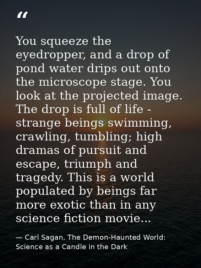 You squeeze the eyedropper, and a drop of pond water drips out onto the microscope stage. You look at the projected imag — Carl Sagan, The Demon-Haunted World: Science as a Candle in the Dark