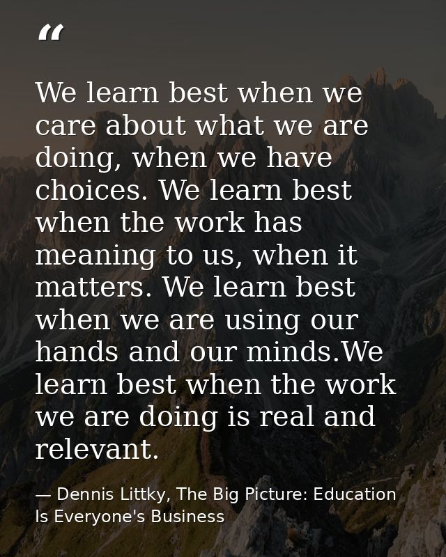 We learn best when we care about what we are doing, when we have choices. We learn best when the work has meaning to us, — Dennis Littky, The Big Picture: Education Is Everyone's Business