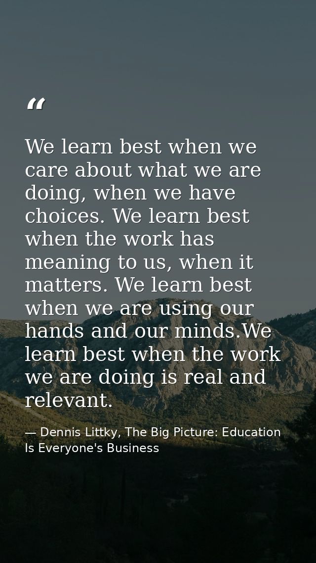 We learn best when we care about what we are doing, when we have choices. We learn best when the work has meaning to us, — Dennis Littky, The Big Picture: Education Is Everyone's Business