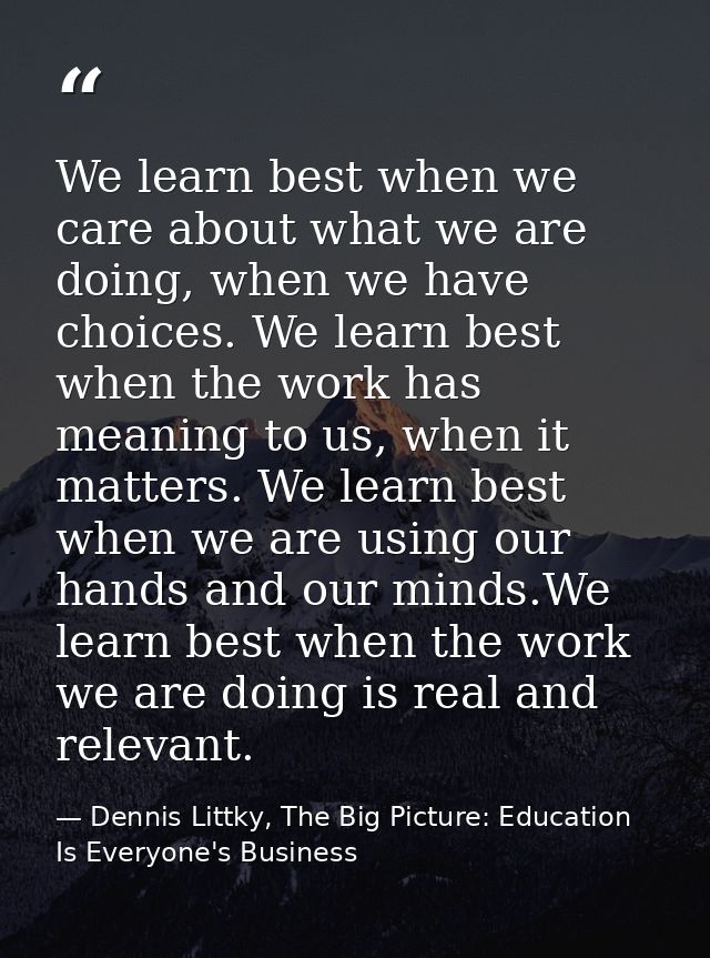 We learn best when we care about what we are doing, when we have choices. We learn best when the work has meaning to us, — Dennis Littky, The Big Picture: Education Is Everyone's Business