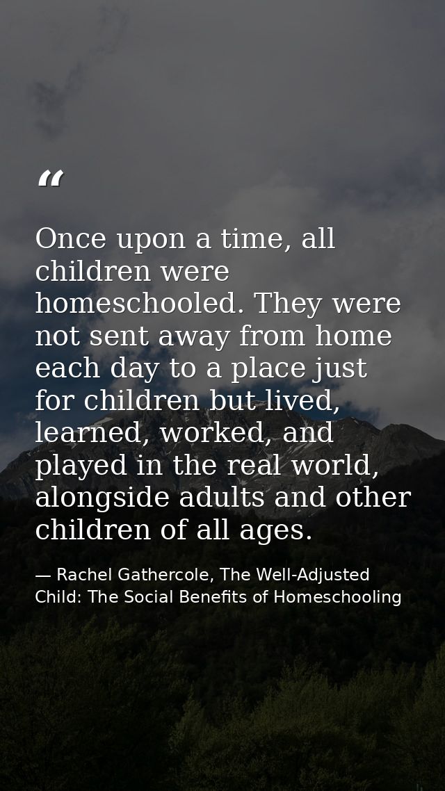 Once upon a time, all children were homeschooled. They were not sent away from home each day to a place just for childre — Rachel Gathercole, The Well-Adjusted Child: The Social Benefits of Homeschooling
