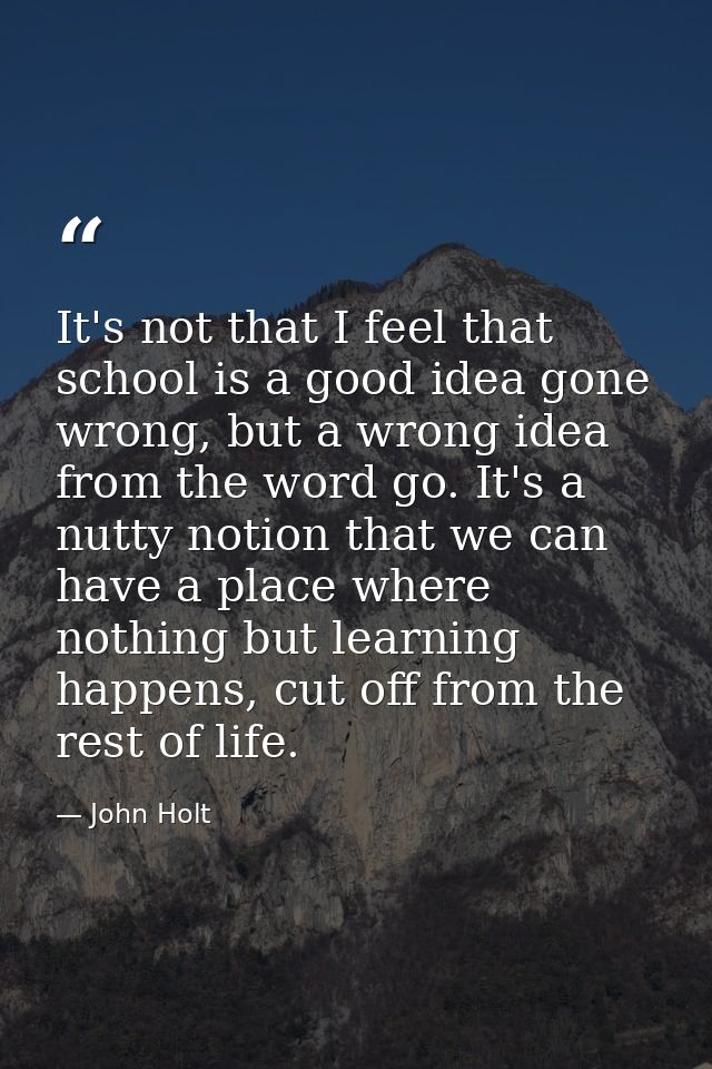 It's not that I feel that school is a good idea gone wrong, but a wrong idea from the word go. It's a nutty notion that  — John Holt