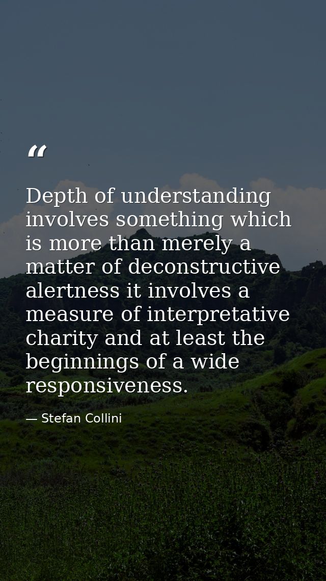 Depth of understanding involves something which is more than merely a matter of deconstructive alertness it involves a m — Stefan Collini