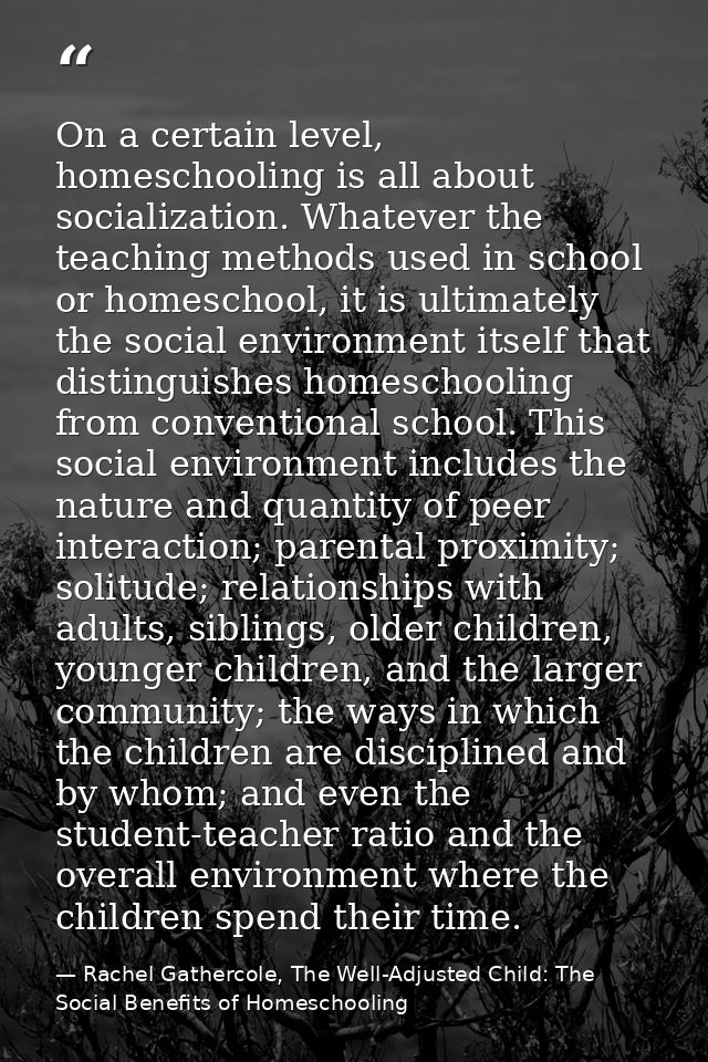 On a certain level, homeschooling is all about socialization. Whatever the teaching methods used in school or homeschool — Rachel Gathercole, The Well-Adjusted Child: The Social Benefits of Homeschooling