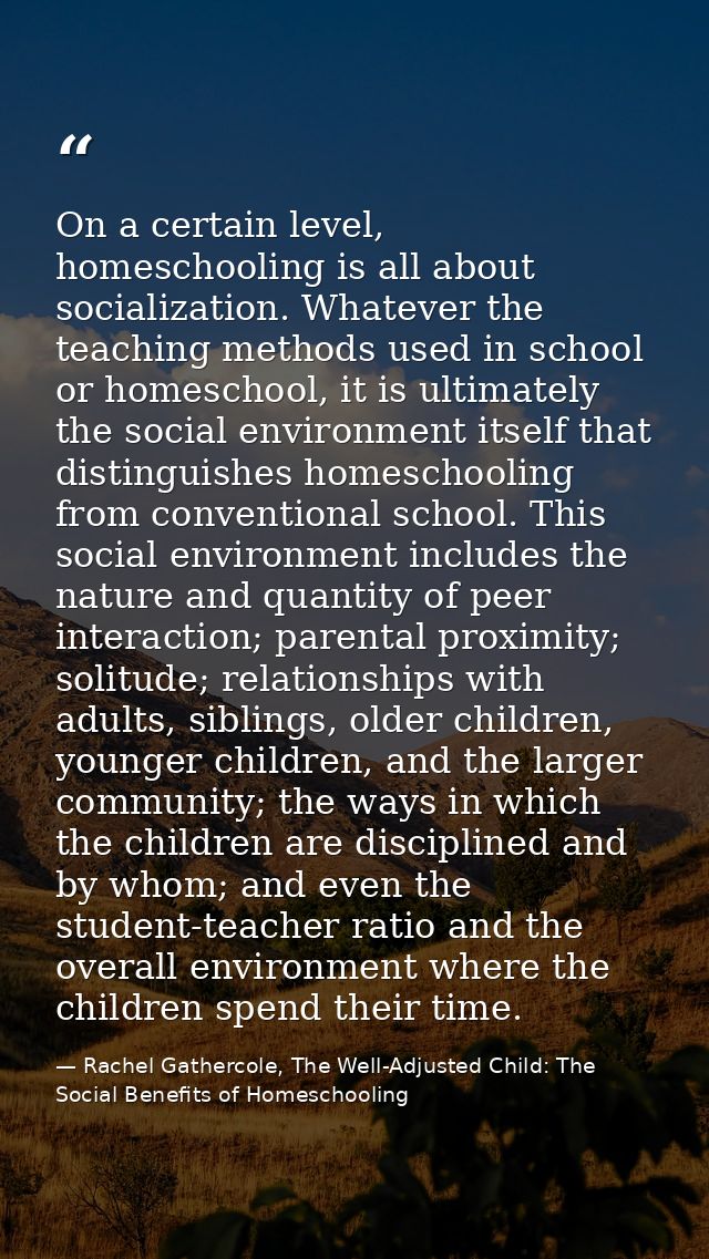 On a certain level, homeschooling is all about socialization. Whatever the teaching methods used in school or homeschool — Rachel Gathercole, The Well-Adjusted Child: The Social Benefits of Homeschooling
