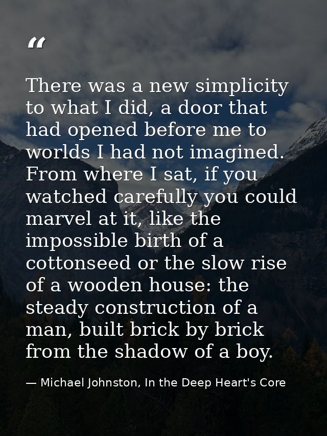 There was a new simplicity to what I did, a door that had opened before me to worlds I had not imagined. From where I sa — Michael Johnston, In the Deep Heart's Core