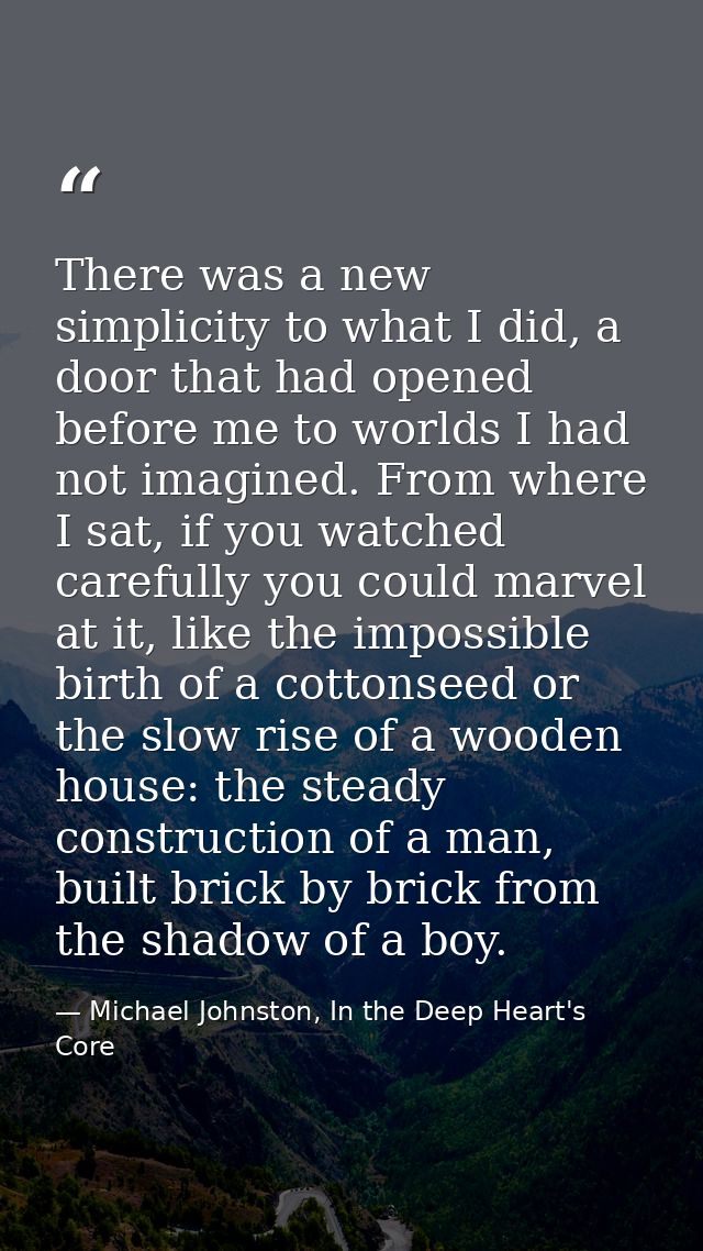 There was a new simplicity to what I did, a door that had opened before me to worlds I had not imagined. From where I sa — Michael Johnston, In the Deep Heart's Core
