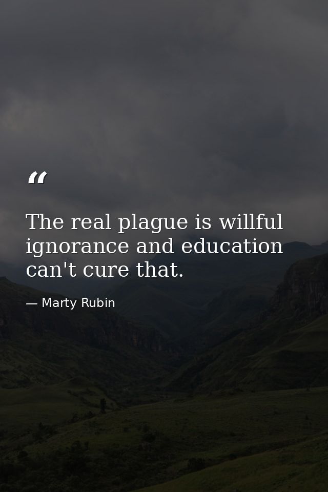 The real plague is willful ignorance and education can't cure that. — Marty Rubin