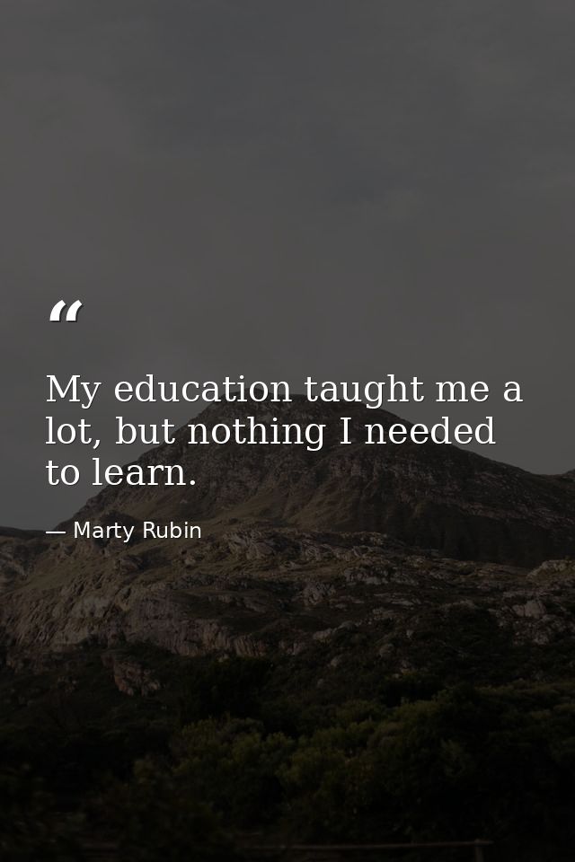 My education taught me a lot, but nothing I needed to learn. — Marty Rubin