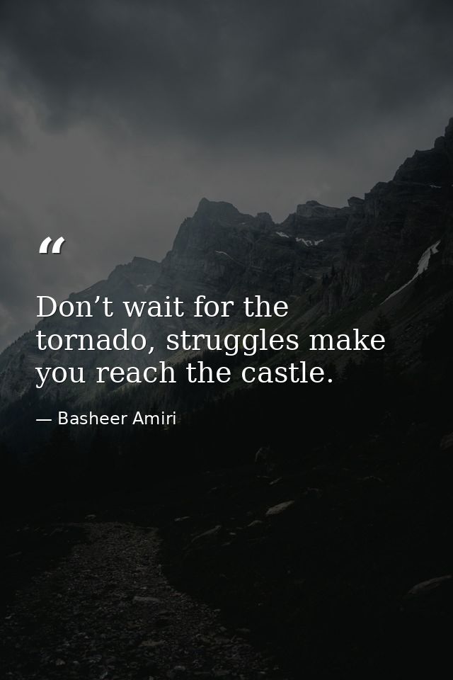 Don’t wait for the tornado, struggles make you reach the castle. — Basheer Amiri