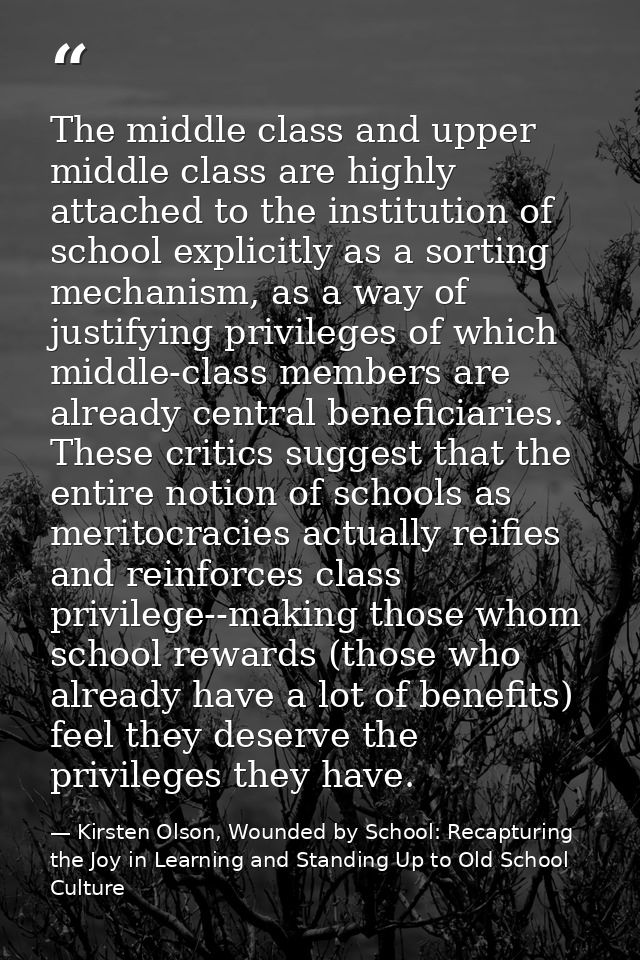 The middle class and upper middle class are highly attached to the institution of school explicitly as a sorting mechani — Kirsten Olson, Wounded by School: Recapturing the Joy in Learning and Standing Up to Old School Culture