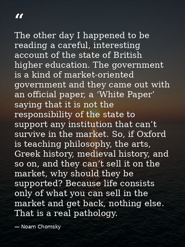 The other day I happened to be reading a careful, interesting account of the state of British higher education. The gove — Noam Chomsky