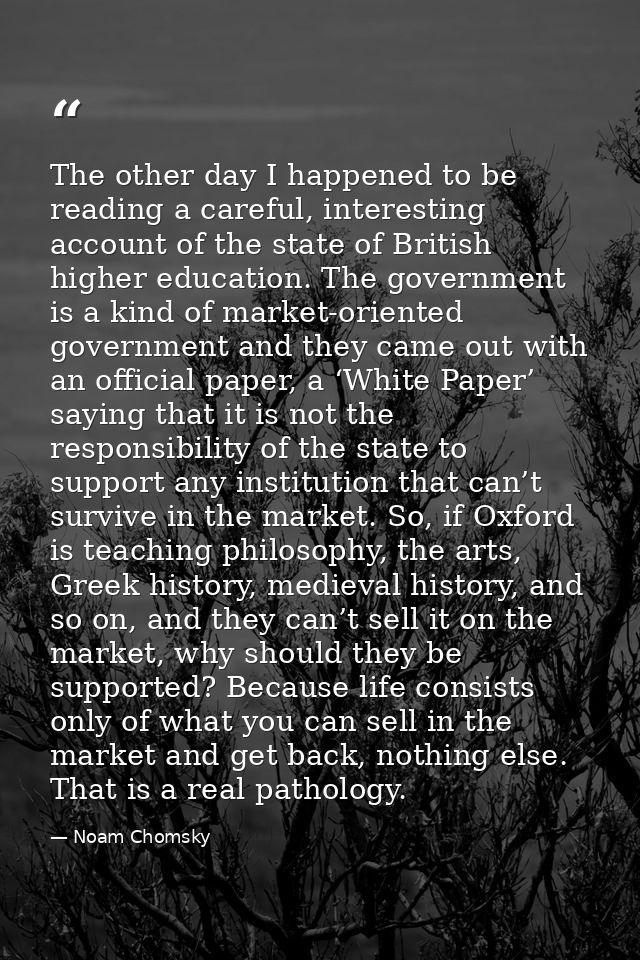 The other day I happened to be reading a careful, interesting account of the state of British higher education. The gove — Noam Chomsky