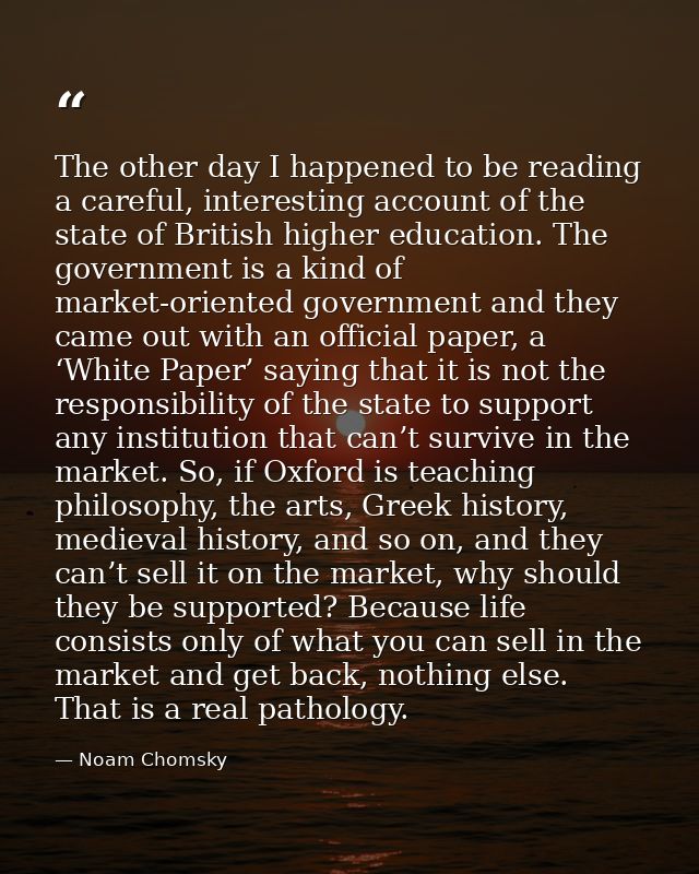 The other day I happened to be reading a careful, interesting account of the state of British higher education. The gove — Noam Chomsky