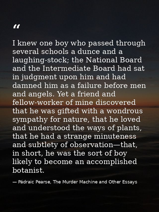I knew one boy who passed through several schools a dunce and a laughing-stock; the National Board and the Intermediate  — Pádraic Pearse, The Murder Machine and Other Essays