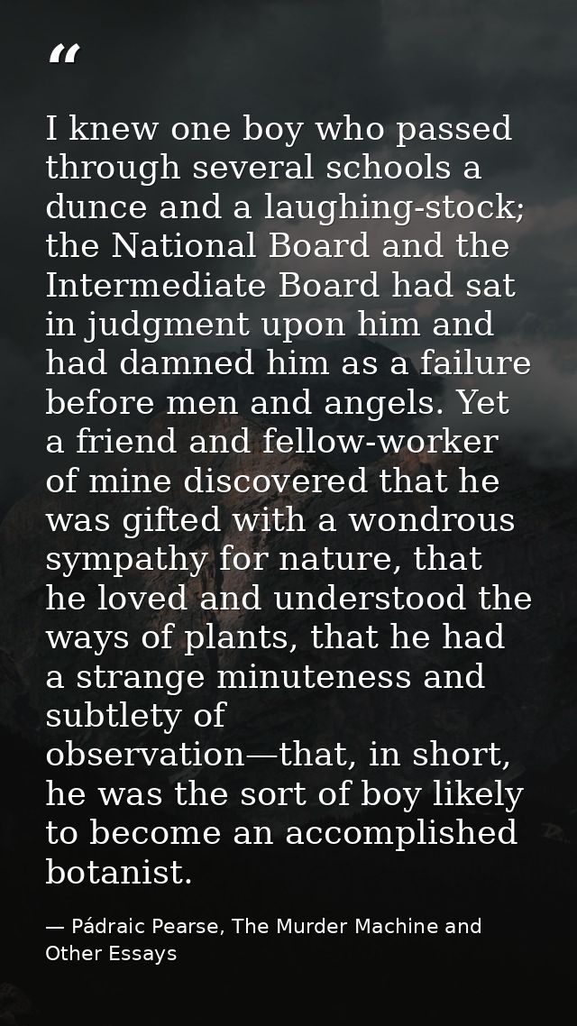 I knew one boy who passed through several schools a dunce and a laughing-stock; the National Board and the Intermediate  — Pádraic Pearse, The Murder Machine and Other Essays