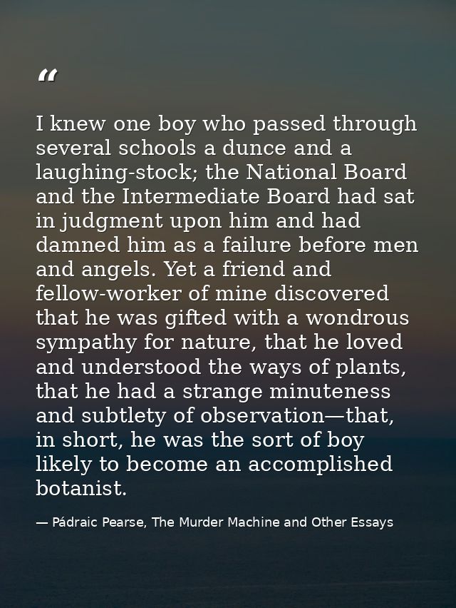 I knew one boy who passed through several schools a dunce and a laughing-stock; the National Board and the Intermediate  — Pádraic Pearse, The Murder Machine and Other Essays