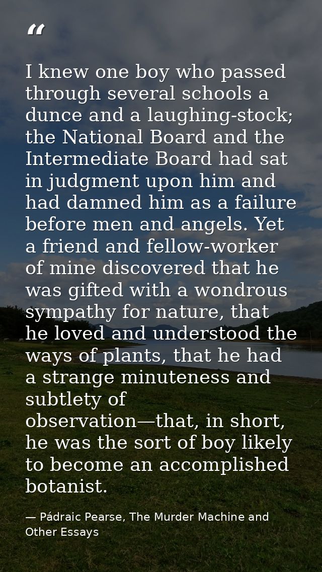 I knew one boy who passed through several schools a dunce and a laughing-stock; the National Board and the Intermediate  — Pádraic Pearse, The Murder Machine and Other Essays