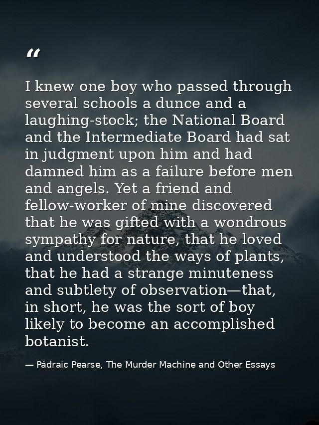 I knew one boy who passed through several schools a dunce and a laughing-stock; the National Board and the Intermediate  — Pádraic Pearse, The Murder Machine and Other Essays