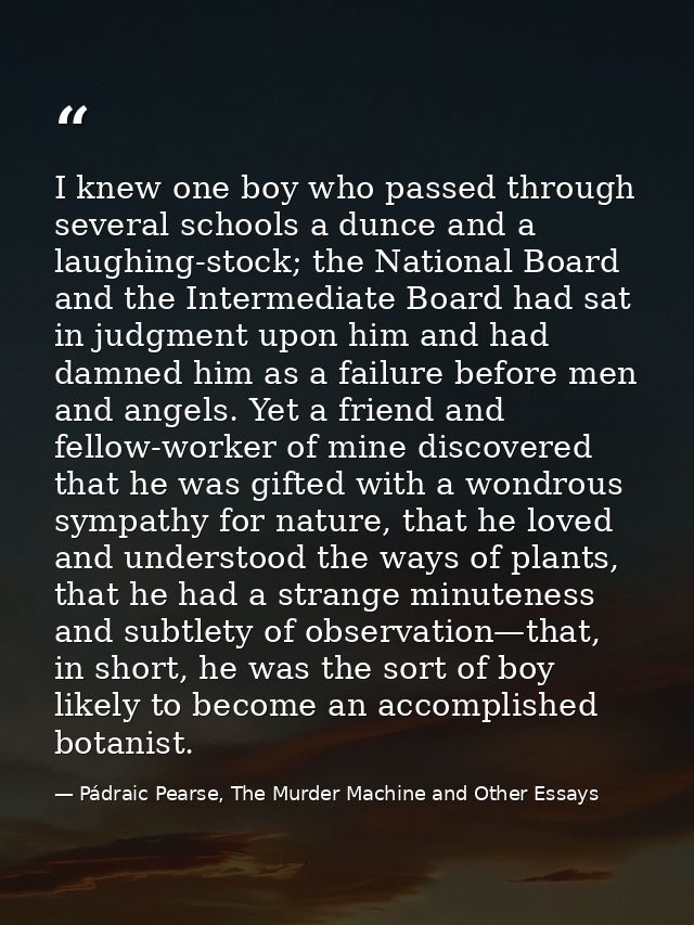 I knew one boy who passed through several schools a dunce and a laughing-stock; the National Board and the Intermediate  — Pádraic Pearse, The Murder Machine and Other Essays