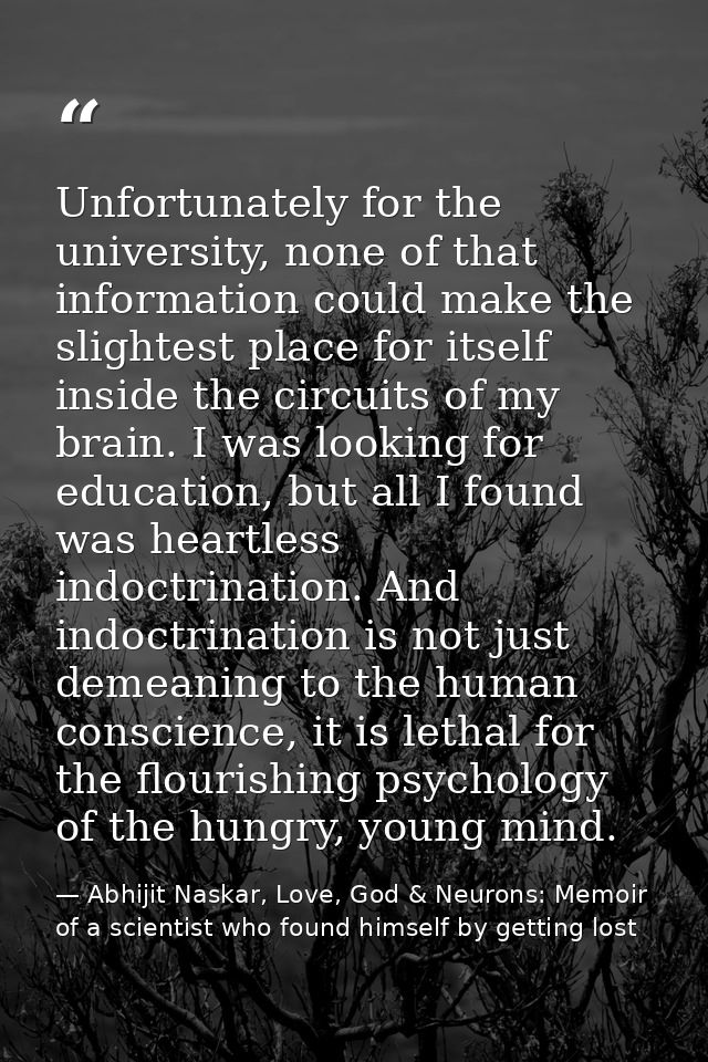 Unfortunately for the university, none of that information could make the slightest place for itself inside the circuits — Abhijit Naskar, Love, God & Neurons: Memoir of a scientist who found himself by getting lost