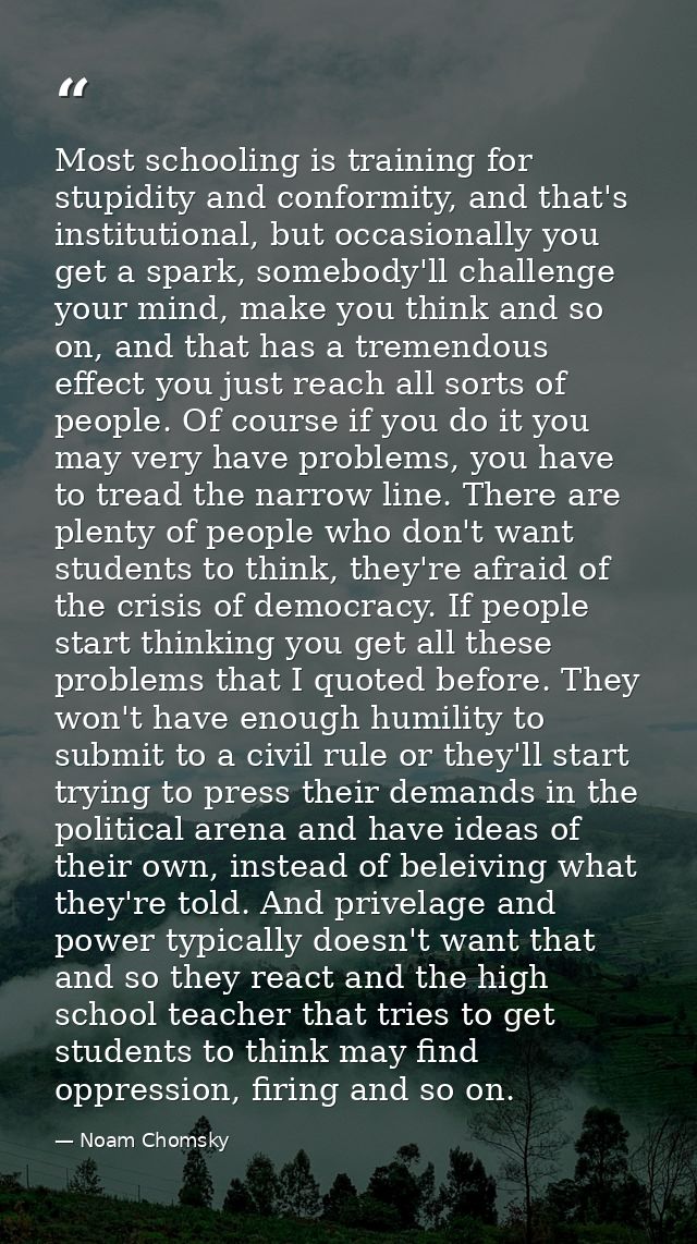 Most schooling is training for stupidity and conformity, and that's institutional, but occasionally you get a spark, som — Noam Chomsky