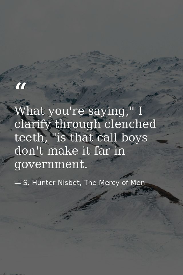 What you're saying," I clarify through clenched teeth, "is that call boys don't make it far in government. — S. Hunter Nisbet, The Mercy of Men