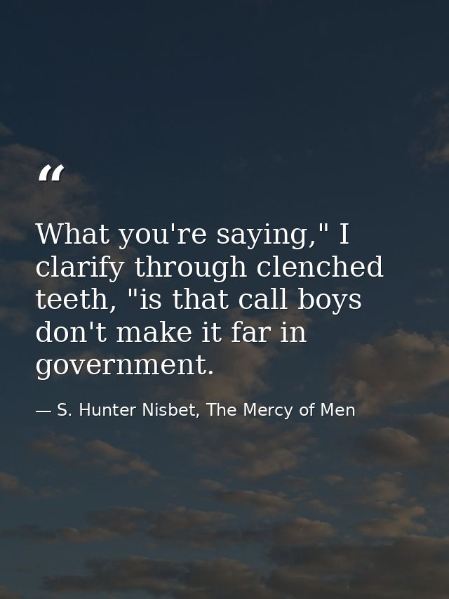 What you're saying," I clarify through clenched teeth, "is that call boys don't make it far in government. — S. Hunter Nisbet, The Mercy of Men