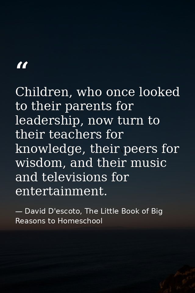 Children, who once looked to their parents for leadership, now turn to their teachers for knowledge, their peers for wis — David D'escoto, The Little Book of Big Reasons to Homeschool