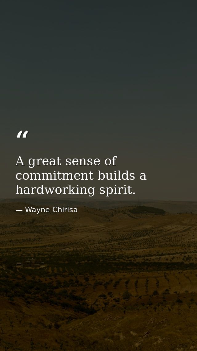 A great sense of commitment builds a hardworking spirit. — Wayne Chirisa