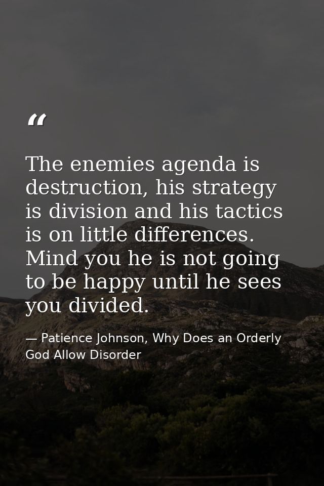 The enemies agenda is destruction, his strategy is division and his tactics is on little differences. Mind you he is not — Patience Johnson, Why Does an Orderly God Allow Disorder