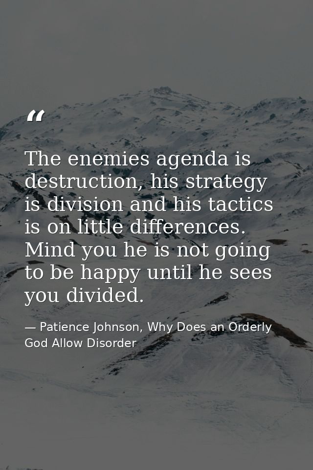 The enemies agenda is destruction, his strategy is division and his tactics is on little differences. Mind you he is not — Patience Johnson, Why Does an Orderly God Allow Disorder