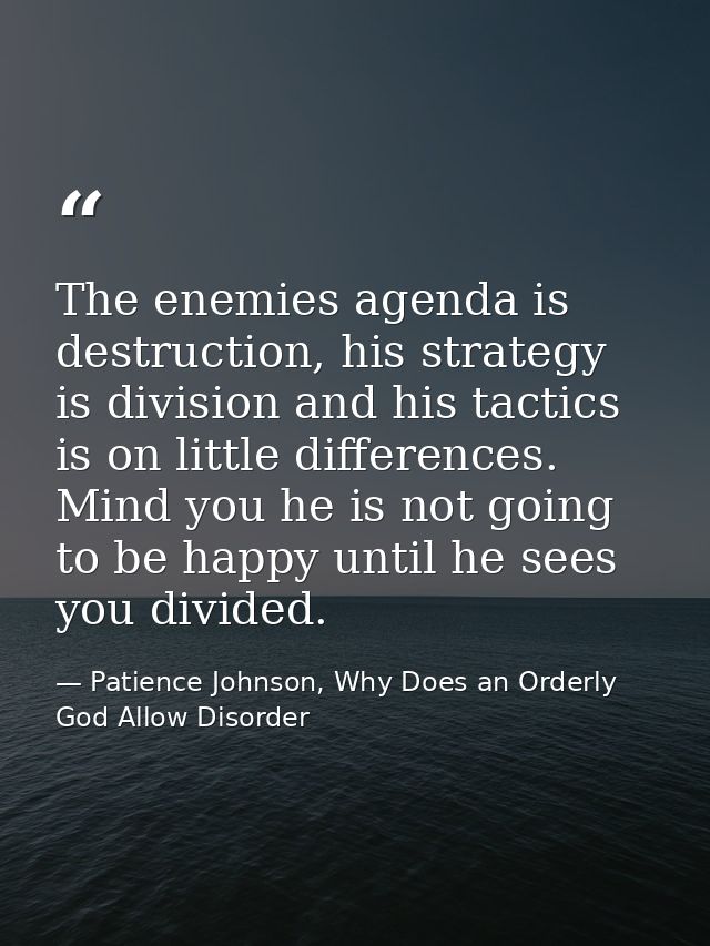 The enemies agenda is destruction, his strategy is division and his tactics is on little differences. Mind you he is not — Patience Johnson, Why Does an Orderly God Allow Disorder