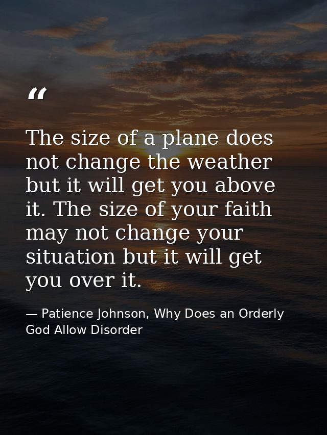 The size of a plane does not change the weather but it will get you above it. The size of your faith may not change your — Patience Johnson, Why Does an Orderly God Allow Disorder