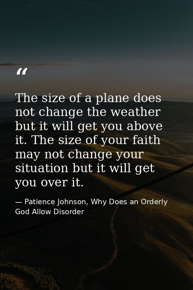 The size of a plane does not change the weather but it will get you above it. The size of your faith may not change your — Patience Johnson, Why Does an Orderly God Allow Disorder