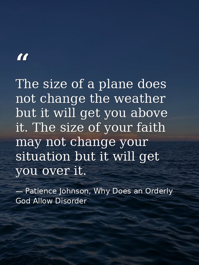 The size of a plane does not change the weather but it will get you above it. The size of your faith may not change your — Patience Johnson, Why Does an Orderly God Allow Disorder