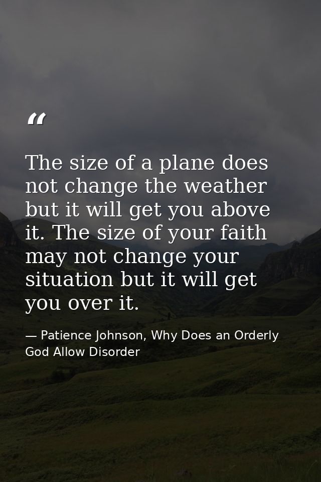 The size of a plane does not change the weather but it will get you above it. The size of your faith may not change your — Patience Johnson, Why Does an Orderly God Allow Disorder