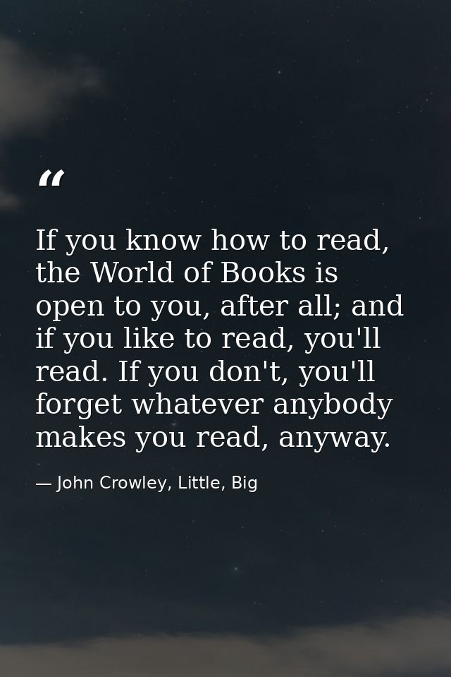 If you know how to read, the World of Books is open to you, after all; and if you like to read, you'll read. If you don' — John Crowley, Little, Big
