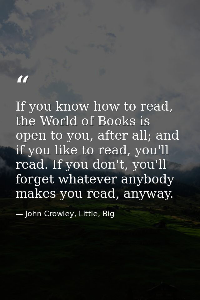 If you know how to read, the World of Books is open to you, after all; and if you like to read, you'll read. If you don' — John Crowley, Little, Big
