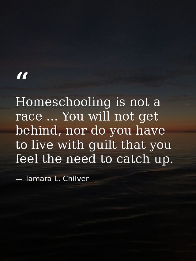 Homeschooling is not a race ... You will not get behind, nor do you have to live with guilt that you feel the need to ca — Tamara L. Chilver