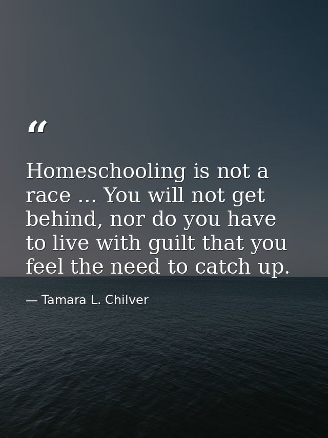 Homeschooling is not a race ... You will not get behind, nor do you have to live with guilt that you feel the need to ca — Tamara L. Chilver