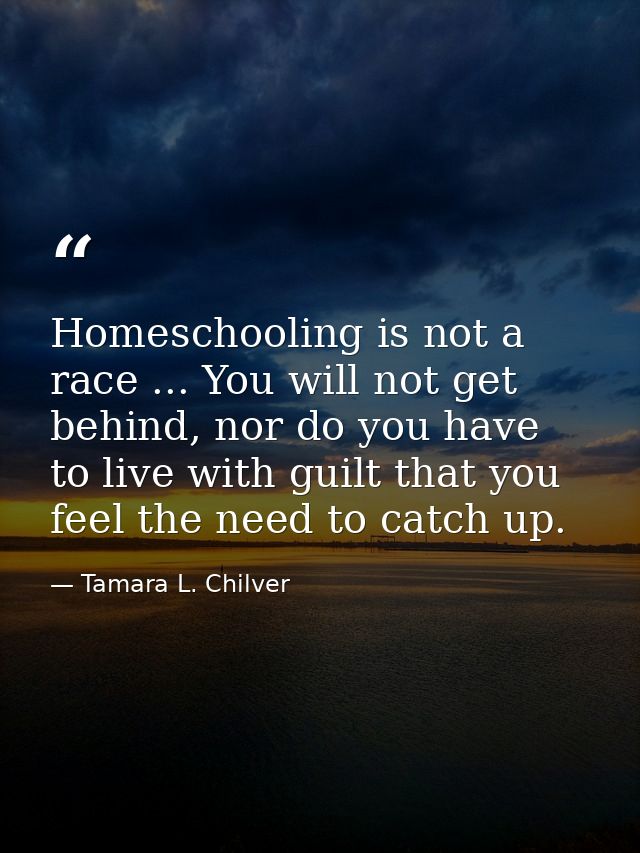Homeschooling is not a race ... You will not get behind, nor do you have to live with guilt that you feel the need to ca — Tamara L. Chilver