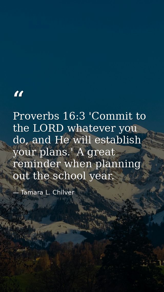 Proverbs 16:3 'Commit to the LORD whatever you do, and He will establish your plans.' A great reminder when planning out — Tamara L. Chilver