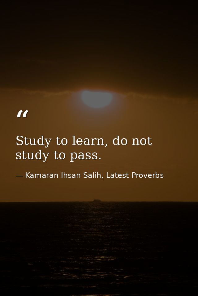 Study to learn, do not study to pass. — Kamaran Ihsan Salih, Latest Proverbs