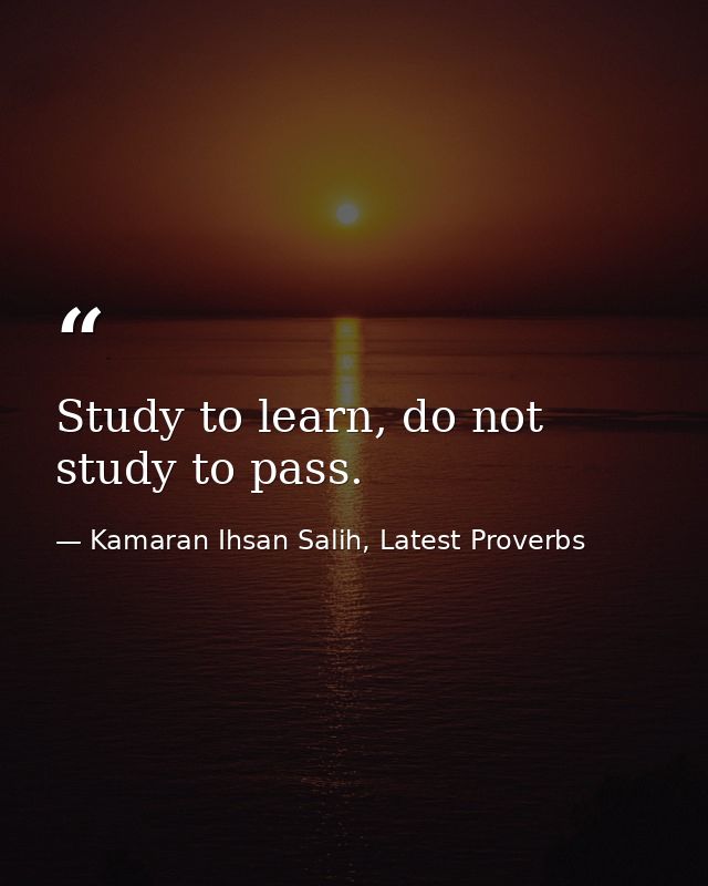 Study to learn, do not study to pass. — Kamaran Ihsan Salih, Latest Proverbs