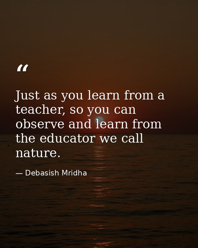 Just as you learn from a teacher, so you can observe and learn from the educator we call nature. — Debasish Mridha