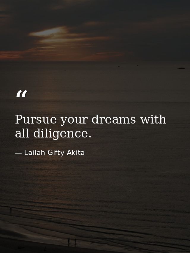 Pursue your dreams with all diligence. — Lailah Gifty Akita