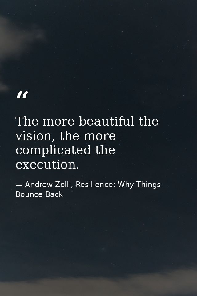 The more beautiful the vision, the more complicated the execution. — Andrew Zolli, Resilience: Why Things Bounce Back